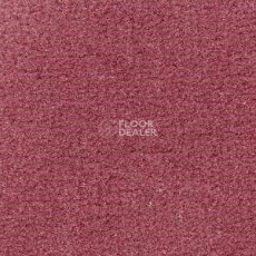 Ковролин Radici Admiral Blush 2203 фото 1 | FLOORDEALER